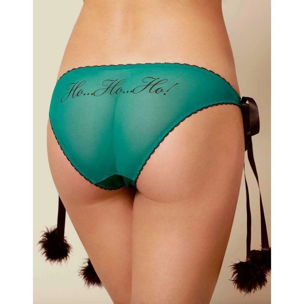 Agent Provocateur Noellah Hohoho Green Brief S/M New